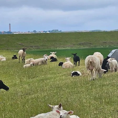 Luxus 5 Sterne Voslapp 펜션 *