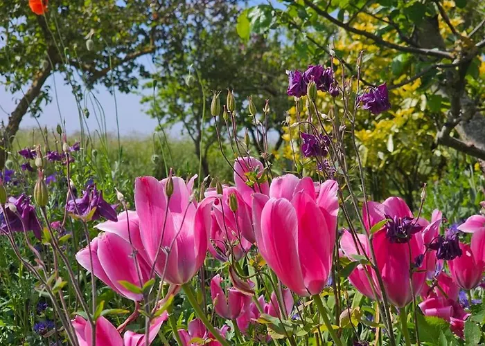 Luxus 5 Sterne Voslapp 度假居 诺登